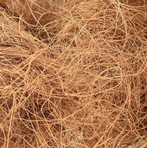 Floristik24 Kokoso pluošto natūralaus augalinio pluošto natūralaus pluošto amatų medžiaga 1kg