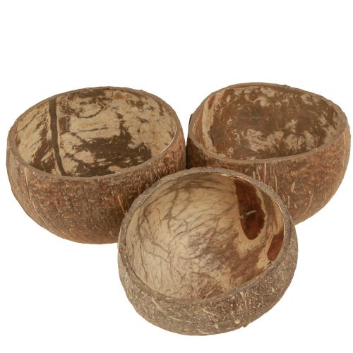 Floristik24 Kokosų dubuo natūralus dekoratyvinis kokoso dubuo perpus 10cm 6 vnt