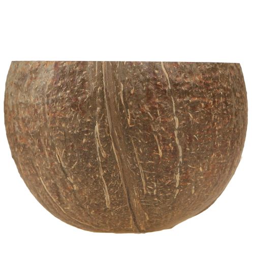 Floristik24 Kokosų dubuo natūralus dekoratyvinis kokoso dubuo perpus 10cm 6 vnt