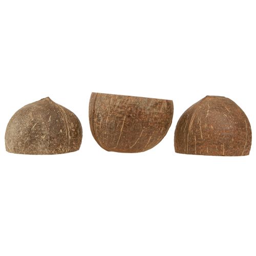 daiktų Kokosų dubuo natūralus dekoratyvinis kokoso dubuo perpus 10cm 6 vnt