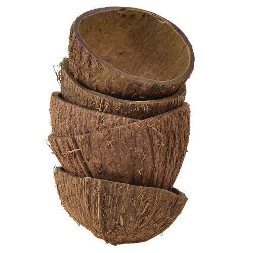 Floristik24 Kokoso dubenėlio dekoravimas natūralūs kokosų puselės Ø7-9cm 5 vnt
