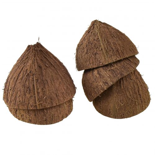 Floristik24 Kokoso dubenėlio dekoravimas natūralūs kokosų puselės Ø7-9cm 5 vnt