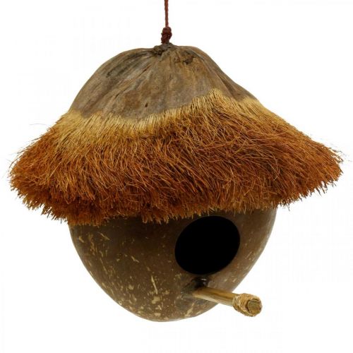 daiktų Kokosas kaip inkilas, paukščių namelis pakabinti, kokoso puošmena Ø16cm L46cm