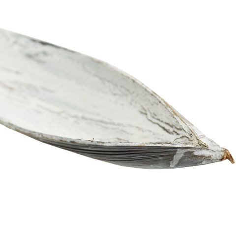 daiktų Kokoso kevalas kokoso lapas skalbtas baltas 60cm