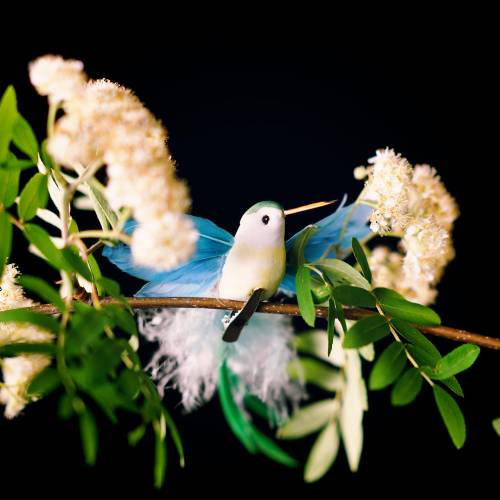 Floristik24 Kolibri asortimentas ant segtuko 17cm 12vnt