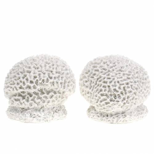 Maritime Deco Coral Plaster Baltas Ø10cm 2vnt