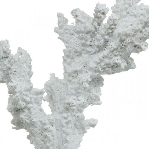 Jūrinės dekoracijos koralų baltumo dirbtinės dekoracijos stovas 11×12cm