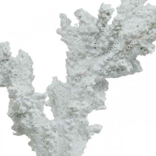 Floristik24 Jūrinės dekoracijos koralų baltumo dirbtinės dekoracijos stovas 11×12cm