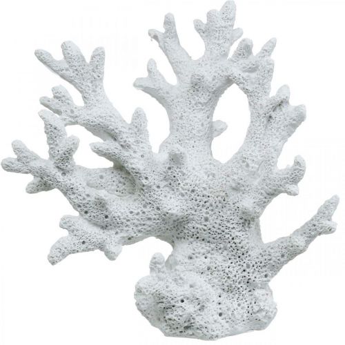 Floristik24 Jūrinė dekoracija koralų balta vasaros dekoracija 14,5×14,5cm