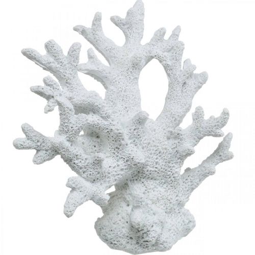 Floristik24 Jūrinė dekoracija koralų balta vasaros dekoracija 14,5×14,5cm