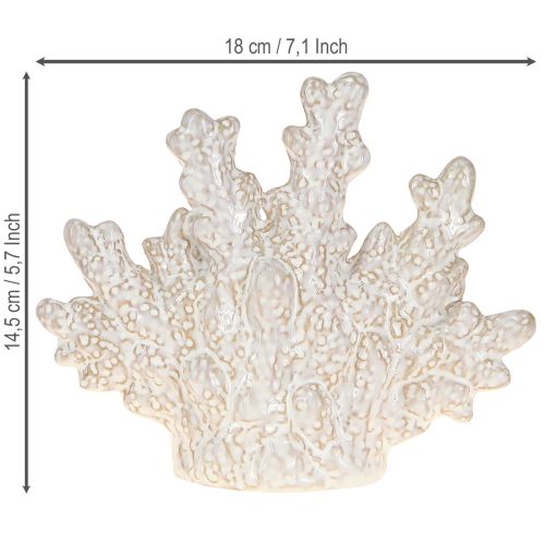 daiktų Koralų dekoravimas keraminis jūrinis stalo dekoravimas smėlio spalvos H14,5cm