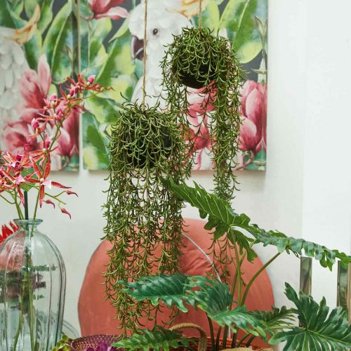 Floristik24 Koralų kaktuso dirbtinė kabykla Rhipsalis 90cm
