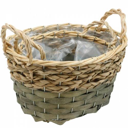 daiktų Krepšelis pintas ovalus augalų krepšelis naturalus, pilkas 29/24cm rinkinys iš 2 vnt