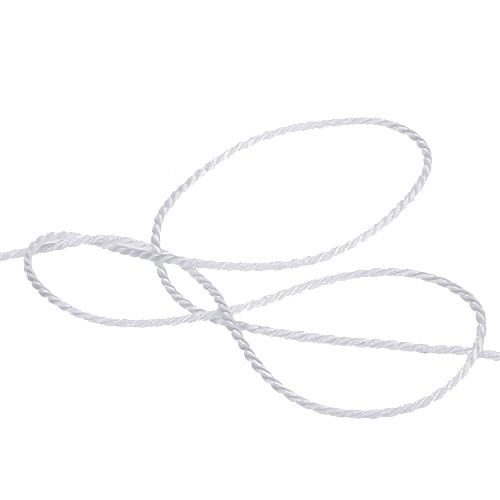 Floristik24 Laidas baltas 2mm 50m