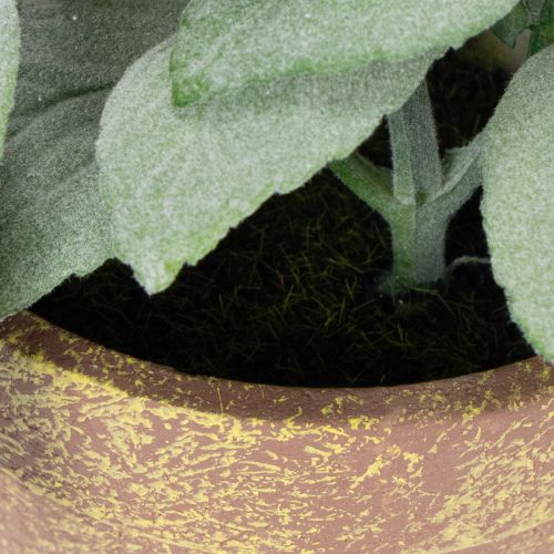 daiktų Dirbtinių žolelių vazonas su dekoratyvinėmis žolelėmis virtuvei, sodui, balkonui ar terasai, 15 m³, 3 vnt.