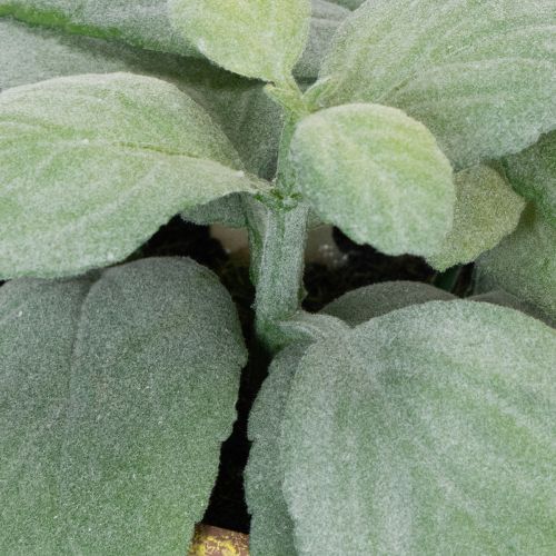 daiktų Dirbtinių žolelių vazonas su dekoratyvinėmis žolelėmis virtuvei, sodui, balkonui ar terasai, 15 m³, 3 vnt.