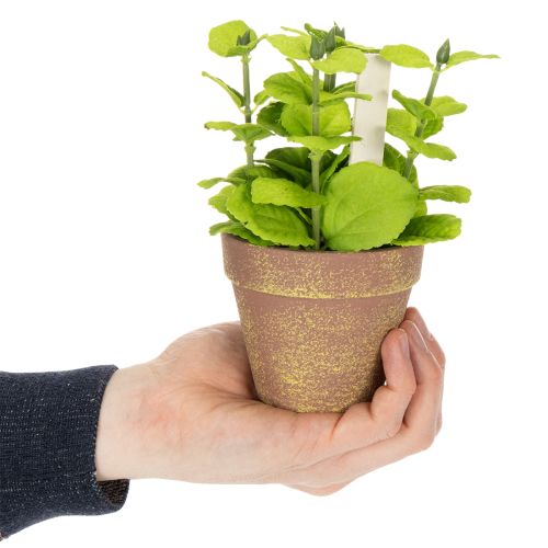 daiktų Dirbtinių žolelių vazonas su dekoratyvinėmis žolelėmis virtuvei, sodui, balkonui ar terasai, 15 m³, 3 vnt.