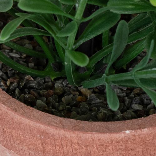 daiktų Dirbtinis augalas vazone su realistiška tekstūra, skirtas naudoti patalpose ir dekoravimui, 18 cm, 3 dalys