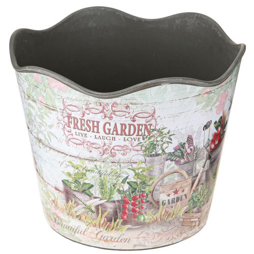 Floristik24 Vazonas su žolelėmis vazonas plastikinis Fresh Garden H13,5cm 2vnt