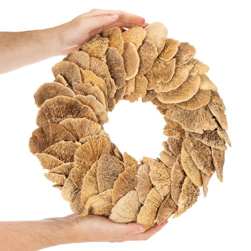 Medžių grybų vainikas, natūralios spalvos, durų ar sienų dekoravimui, 37 cm | Floristik24.lt