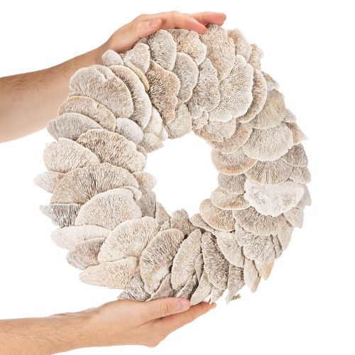 Vainiko medžio kempinė, natūrali dekoracija, 37 cm | Floristik24.lt