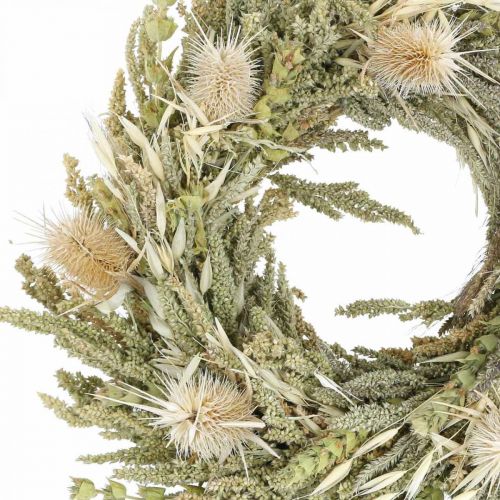 Floristik24 Džiovintų gėlių vainikas atvirukas erškėčio žolės grūdelis Ø28cm