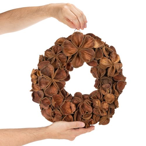 Džiovinto lotoso vainikas, dekoratyvinis durų vainikas, 35 cm | Floristik24.lt
