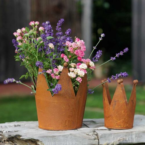 Floristik24 Karūnėlė iš metalinės rūdžių dekoracijos patinai sodinti Ø10.5cm H13.5cm