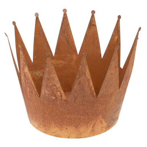 Augalų vazonas rūdžių dekoratyvinis dubuo metalinis dekoratyvinis vainikas vintage Ø30cm