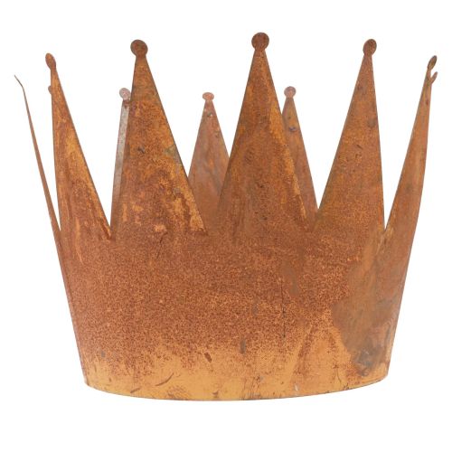 Augalų vazonas rūdžių dekoratyvinis dubuo metalinis dekoratyvinis vainikas vintage Ø30cm