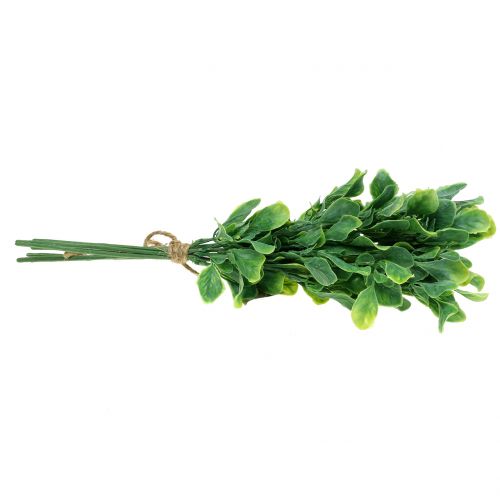 Floristik24 Bazilikas kekėje dirbtinis žalias 36cm 6vnt