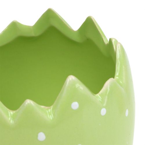 Floristik24 Gėlių vazonas kiaušinio lukštas Ø8cm H8,5cm 8vnt