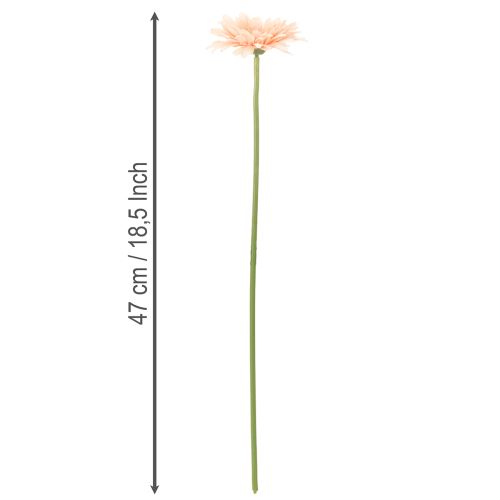 Dirbtinės gerberos, abrikosų spalvos, 47 cm, 6 vnt. | Floristik24.lt