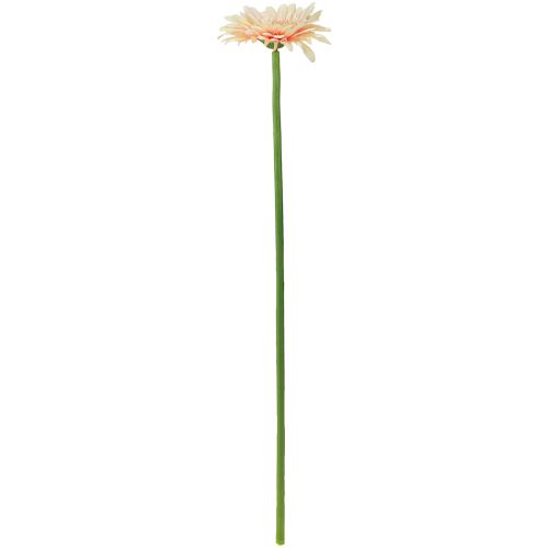 daiktų Dirbtinės gėlės Gerbera Abrikosas 47cm