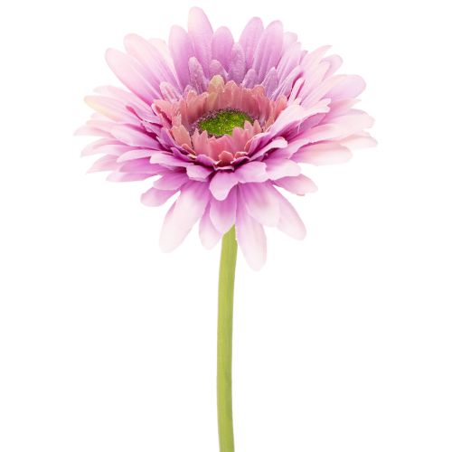 Dirbtinės gerberos sodo gėlės, violetinės, 47 cm, 6 vnt. pirkti | Floristik24.lt