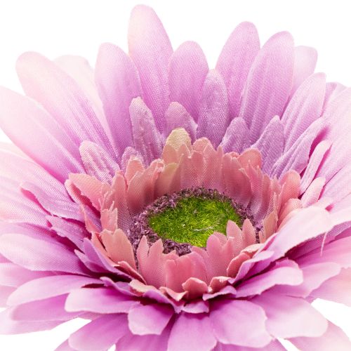 Dirbtinės gerberos sodo gėlės, violetinės, 47 cm, 6 vnt. | Floristik24.lt