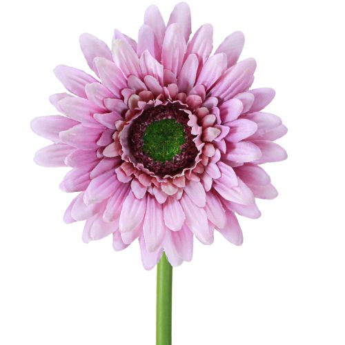 Dirbtinės gėlės Gerbera Garden Dirbtinės gėlės Violetinė 47cm