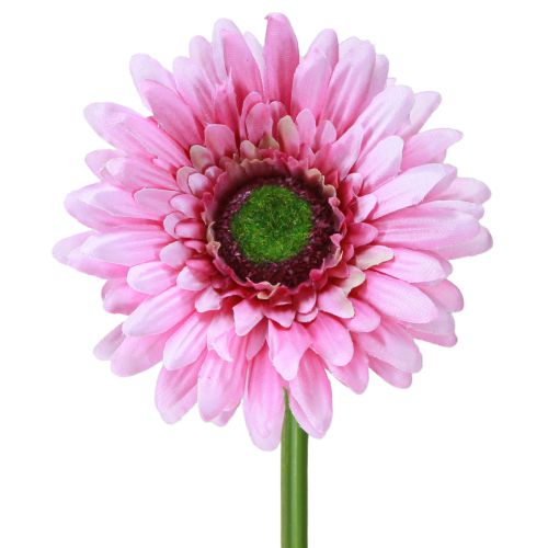 Dirbtinės gėlės Gerbera Garden Dirbtinės gėlės Rožinės 47cm