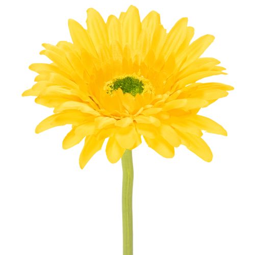 Dirbtinės Gerberos Gėlės, Saulės Geltonos, Sodo Gėlė, 47 cm, 6 Vnt. pirkti | Floristik24.lt