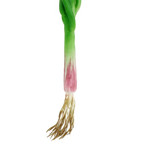 Floristik24 Dirbtiniai laiškiniai svogūnai 30cm 4vnt