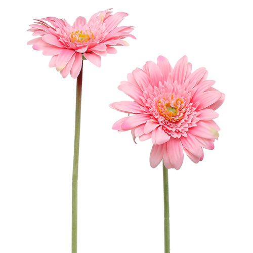 Floristik24 Dirbtinė gerbera rožinė Ø10cm L53cm 6vnt