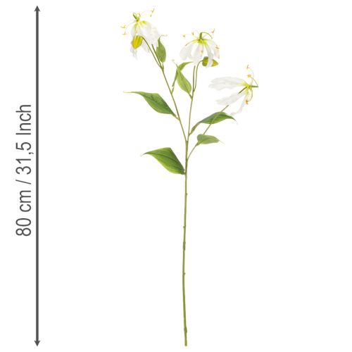 Dirbtinė Gloriosa gėlė, balta ir geltona, elegantiškai žydinti šakelė dekoracijai, 80 cm, 3 vnt. | Floristik24.lt