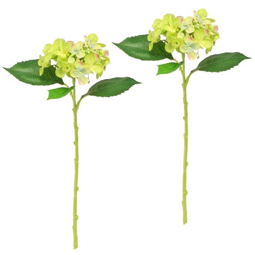 daiktų Dirbtinės hortenzijos Žalios Gėlės Lapai L43cm 2vnt