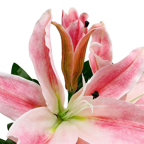 Floristik24 Dirbtinė lelija Pink Real Touch 100cm