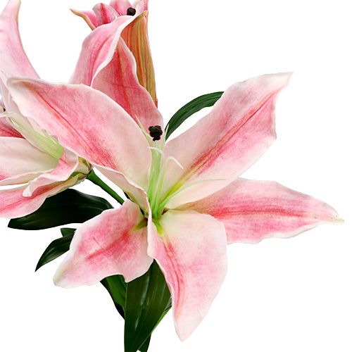Floristik24 Dirbtinė lelija Pink Real Touch 100cm