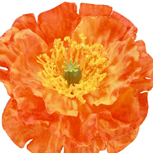 daiktų Dirbtinės aguonos Vasarinės Gėlės Oranžinės Ø7cm L78cm 3vnt
