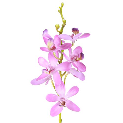 daiktų Dirbtinės orchidėjos 8 violetinės gėlės Ø3,5cm–5cm 2vnt