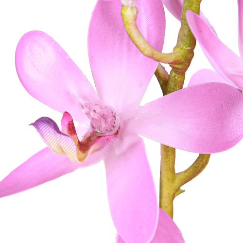 daiktų Dirbtinės orchidėjos 8 violetinės gėlės Ø3,5cm–5cm 2vnt