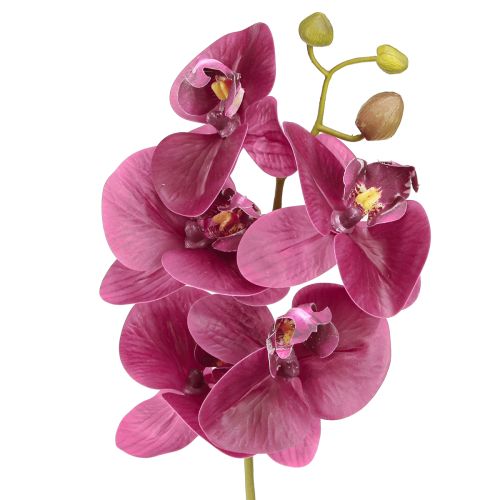 daiktų Dirbtinės orchidėjos violetinės dirbtinės gėlės kaip tikros 56cm 3 vnt