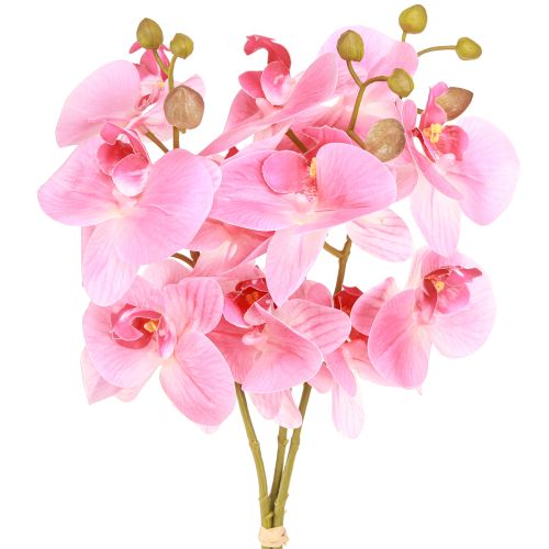 Floristik24 Dirbtinės Orchidėjos Rožinės Dirbtinės Gėlės Like Real 56cm 3 Vnt